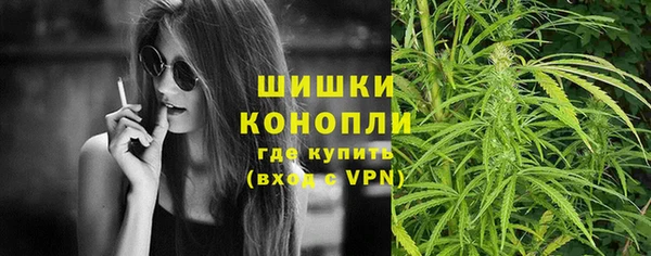 стаф Кинешма