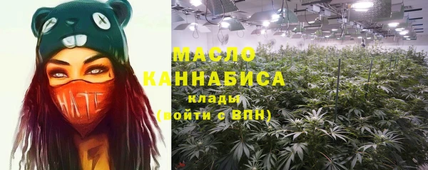 амф Туринск