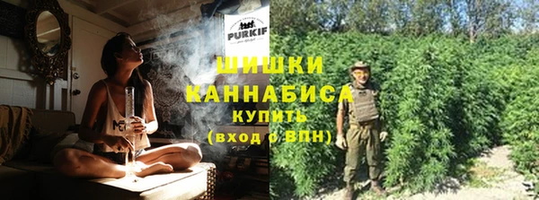 прущий лед Козельск