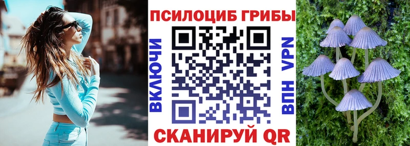Купить  Избербаш  Псилоцибиновые грибы Magic Shrooms 